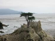 Click for large version